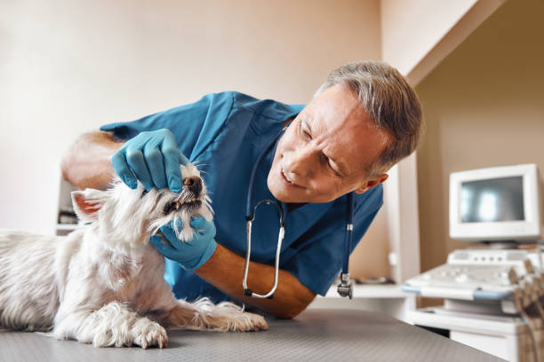 Best Emergency Dental Extractions in Beaver Creek, TX